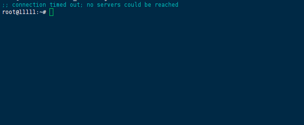 Terminal output showing dig command connection timed out; no servers could be reached